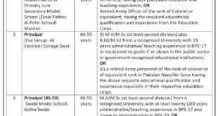 Elementary And Secondary Education Department jobs